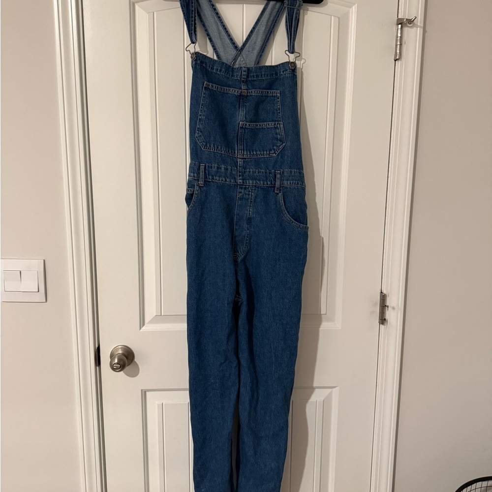 We the Free Ziggy Denim Overalls